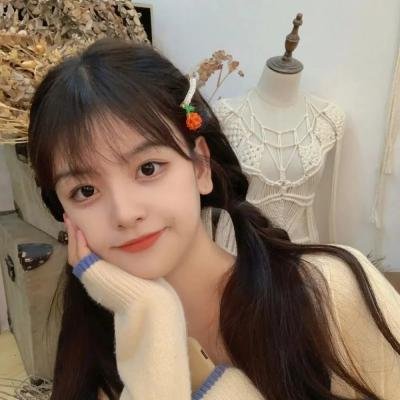 回声胶片特别篇海报